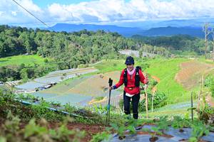 BIB: 
                            <button type="button" onclick="openModal(13382784)" class="btn btn-primary btn-sm float-right btn-popup" data-toggle="modal" data-target=".modal-high-quality">
                        <i class="fas fa-shopping-cart"></i> Add to Cart
                    </button>
                                            <button type="button" onclick="isThisMe(13382784, true)" class="btn btn-success btn-sm float-right btn-popup btn-isme hidden" data-toggle="tooltip" data-placement="bottom" title="นี่คือรูปของคุณใช่ไหม คลิกที่นี่เพื่อเอาเข้าอัลบั้ม">
                        <i class="fas fa-plus"></i> Add to album
                    </button>
                    <button type="button" onclick="isThisMe(13382784, false)" class="btn btn-warning btn-sm float-right btn-popup btn-isnotme hidden">
                        <i class="fas fa-ban"></i> Remove from album
                    </button>